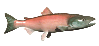 fish?